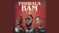 TitoM, Burna Boy and Yuppe – Tshwala Bam (feat. S.N.E) (Remix)