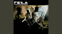 Fela Kuti – Water No Get Enemy